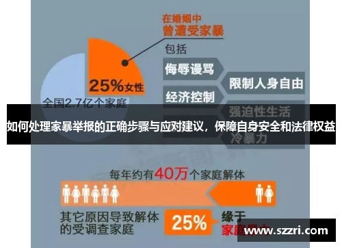 如何处理家暴举报的正确步骤与应对建议，保障自身安全和法律权益